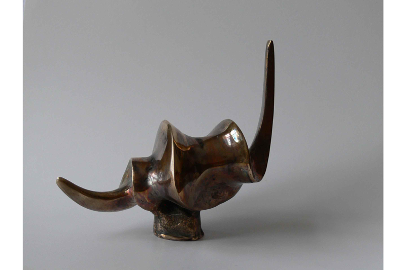 Диноспераль. 2007 Бронза 10х3х4